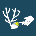 Tree-pruning paste Tree-pruning paste